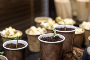 forbidden (1 of 1)-25